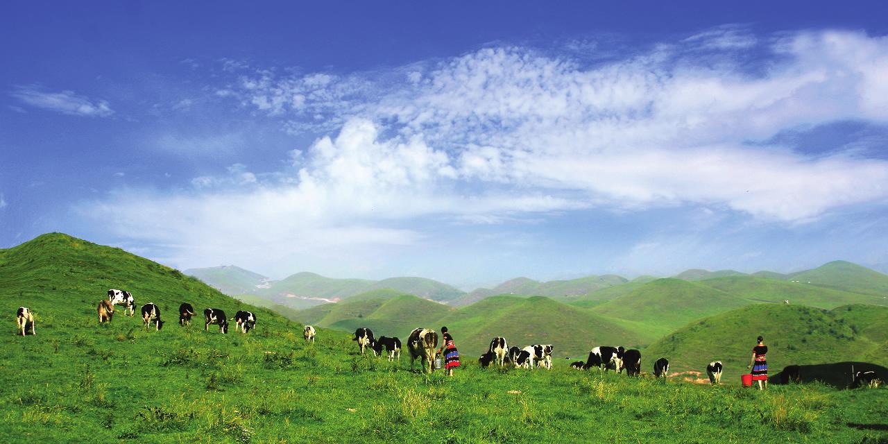 一步之城，萬(wàn)種風(fēng)情 ——《城步苗族自治縣旅游產(chǎn)業(yè)發(fā)展總體規(guī)劃及重點(diǎn)景區(qū)概念性規(guī)劃》