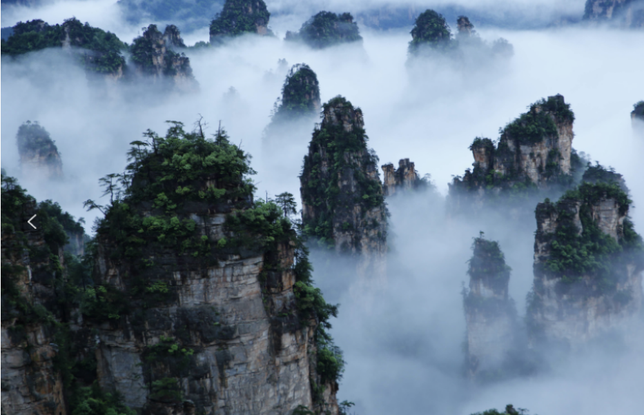 康養(yǎng)游大勢(shì)已至，張家界武陵源區(qū)點(diǎn)“藥”成金