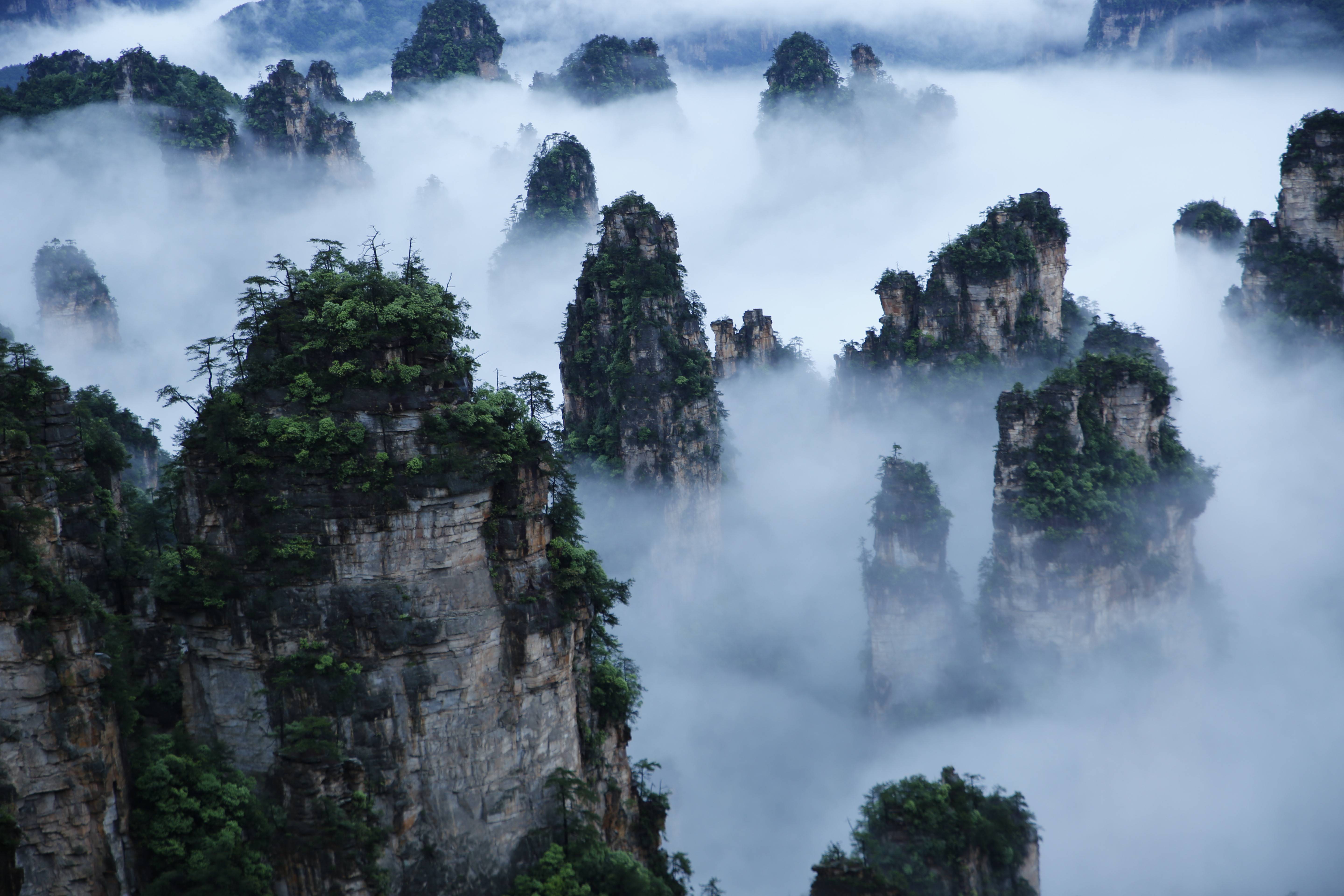 武陵源景區(qū)天子山云海，圖源：湖南日報.jpeg