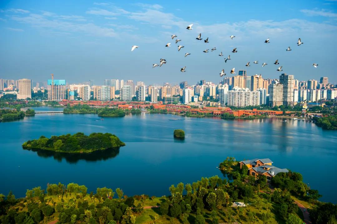 陳獻(xiàn)春:把湖南打造成為具有核心競爭力的全球文化科技中心 陳獻(xiàn)春:把湖南打造成為具有核心競爭力的全球文化科技中心